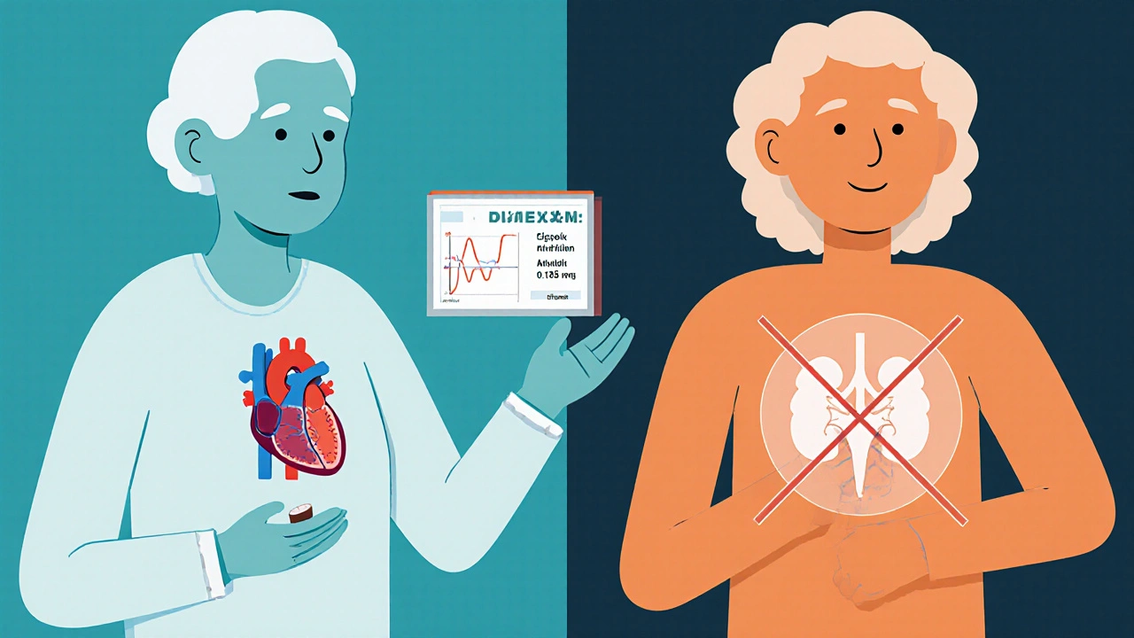 Two patient figures: one with atrial fibrillation taking digoxin, the other without atrial fibrillation shown without digoxin.