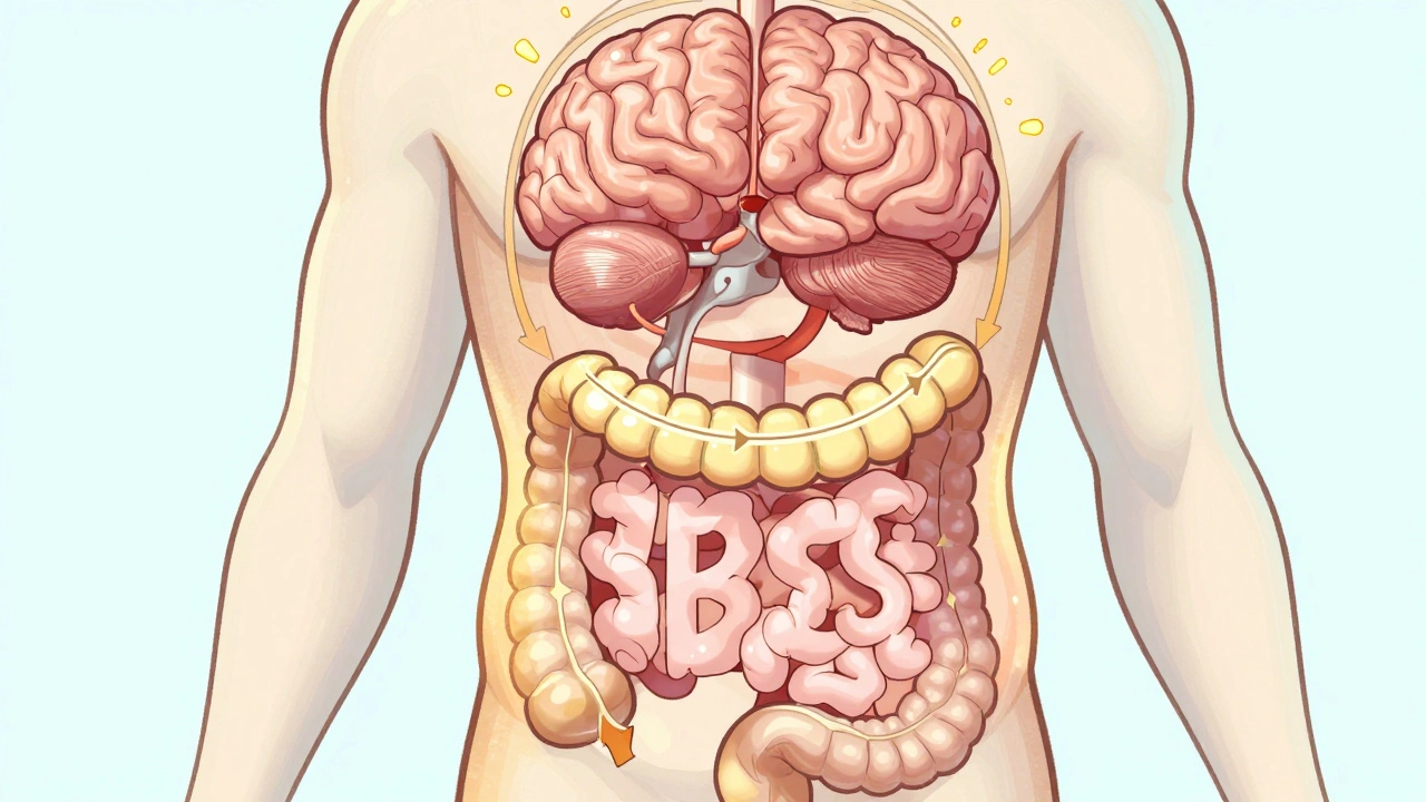 Irritable Bowel Syndrome: Symptoms, Triggers, and Medication Options